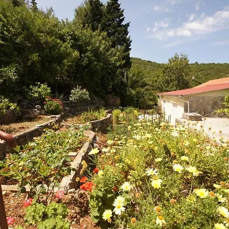 Дом отдыха Holiday Home