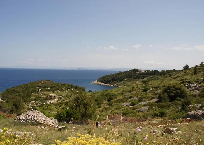 Holiday Home *