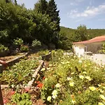 Casa de Férias Holiday Home