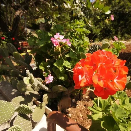 בית נופש Holiday Home