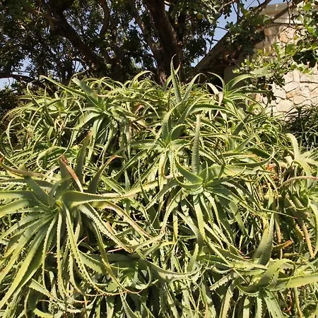 בית נופש Holiday Home *