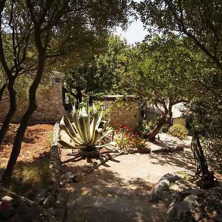 Holiday Home וויס