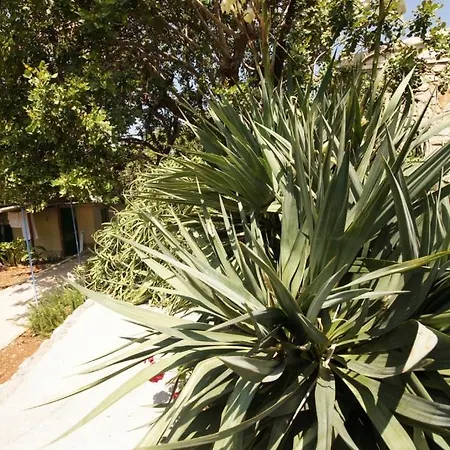 Holiday Home בית נופש *