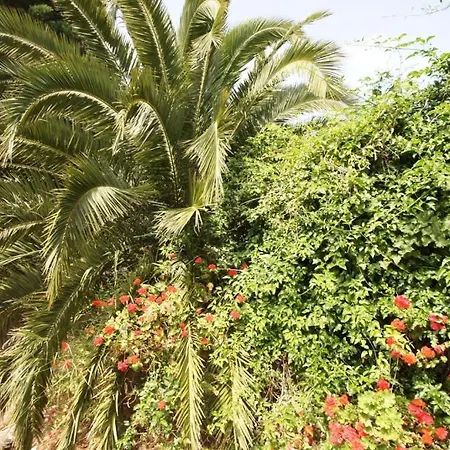 Holiday Home בית נופש וויס