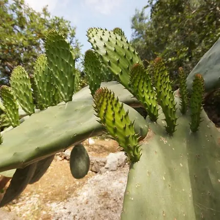 Holiday Home Holiday home *