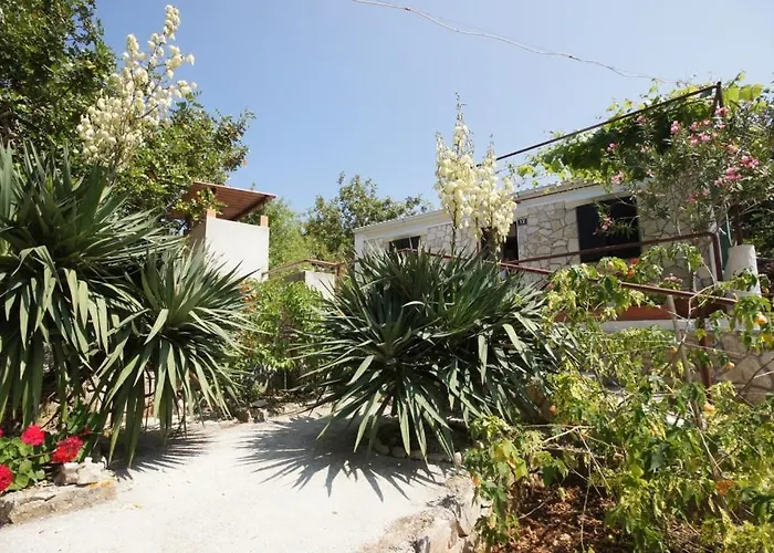 Holiday Home Vis